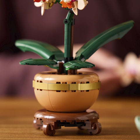 10343 Miniorkidé V29